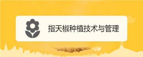 指天椒种植技术与管理