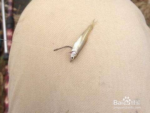 钓鱼遇到小鱼闹窝怎么办