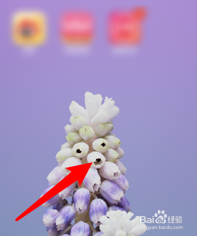 iphone怎么截屏