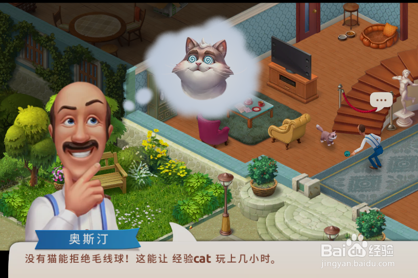 梦幻家园猫咪玩什么东西