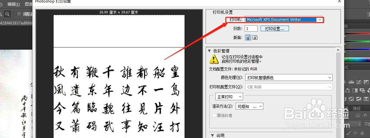 如何查看XPS文档选项功能?