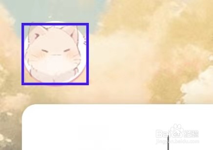 许愿猫怎么修改头像