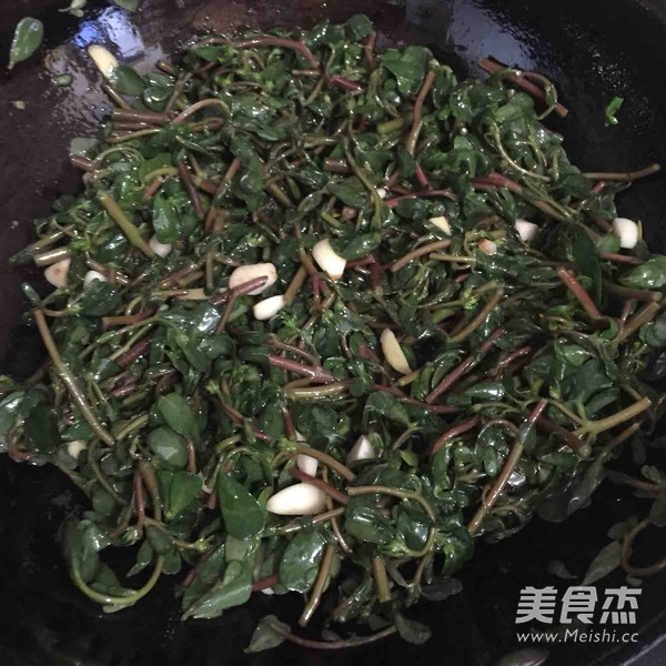 素炒马齿苋的做法