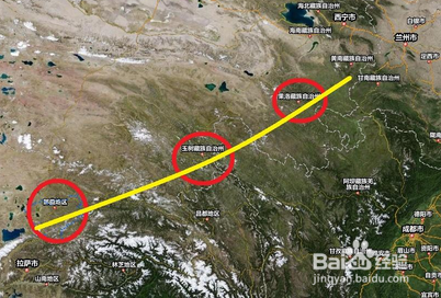 高价回收冬虫夏草?是功效还是利益?