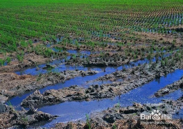 农业用地如何使用