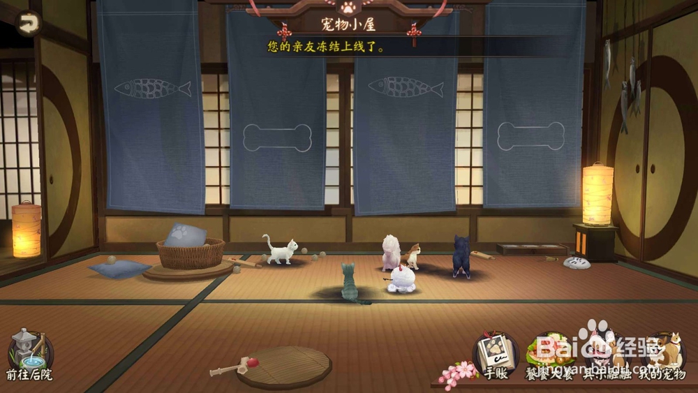 阴阳师怎么给收养的小宠物喂食