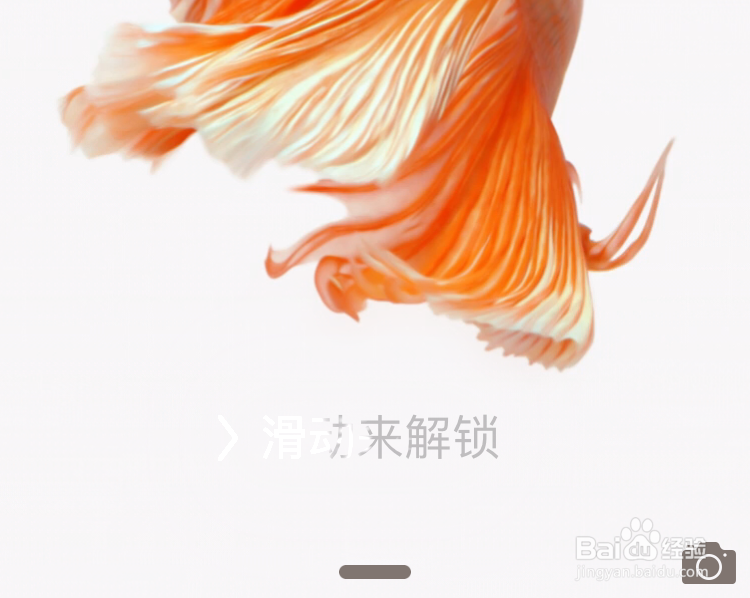 iPhone6s金鱼壁纸不动,6s金鱼壁纸不动