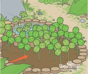 青蛙旅行怎么出去