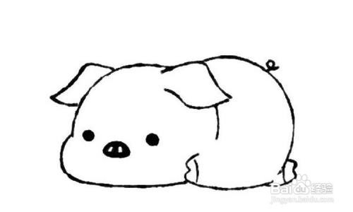 怎样画趴在地上的小猪的简笔画教程