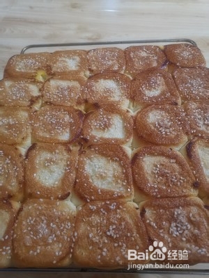 脆底蜂蜜小面包
