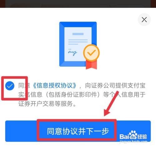 手机怎么炒股票新手入门