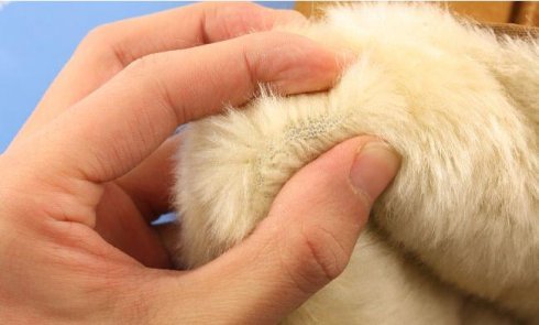 羊皮毛一体UGG雪地靴的真假辨别（多图）