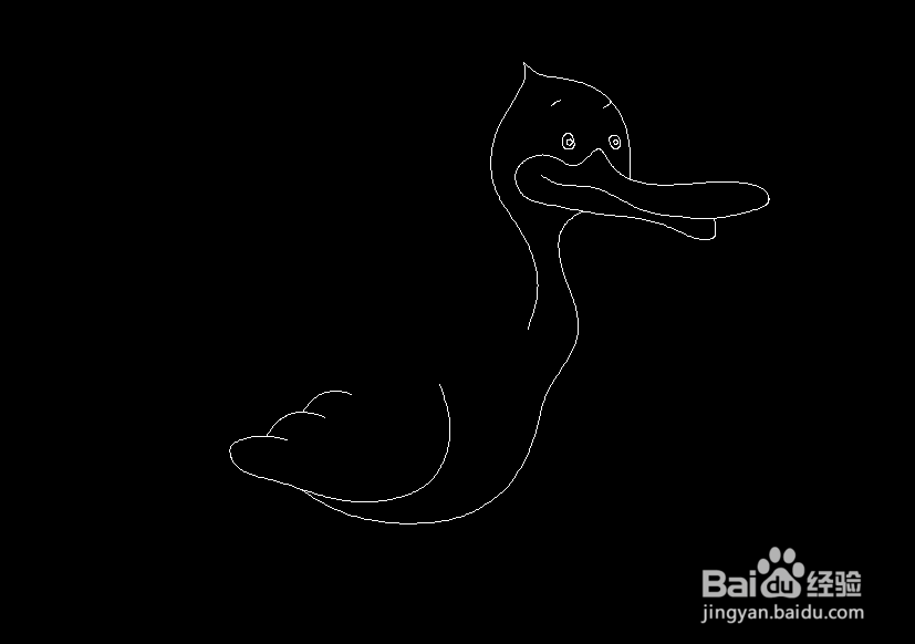 使用CAD如何画扁嘴鸭