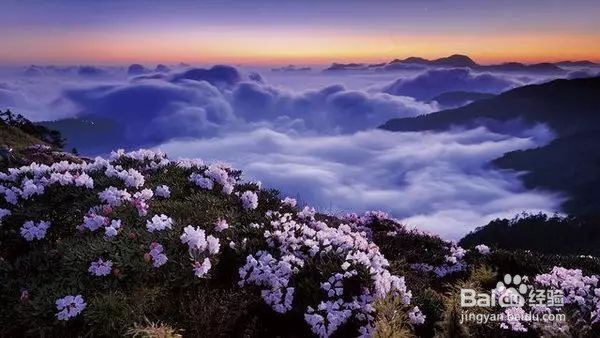 延时摄影的拍摄手法与技巧心得有哪些？