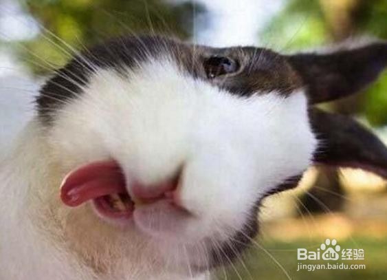 #过年#怎样对付痛经