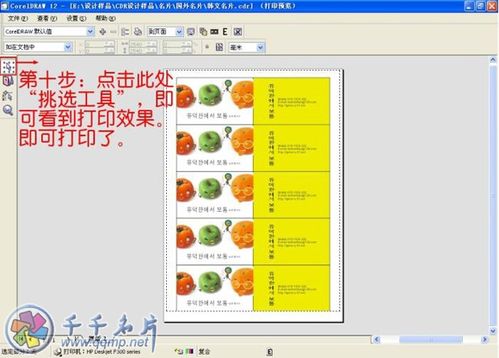 怎样用CorelDRAW12制作名片