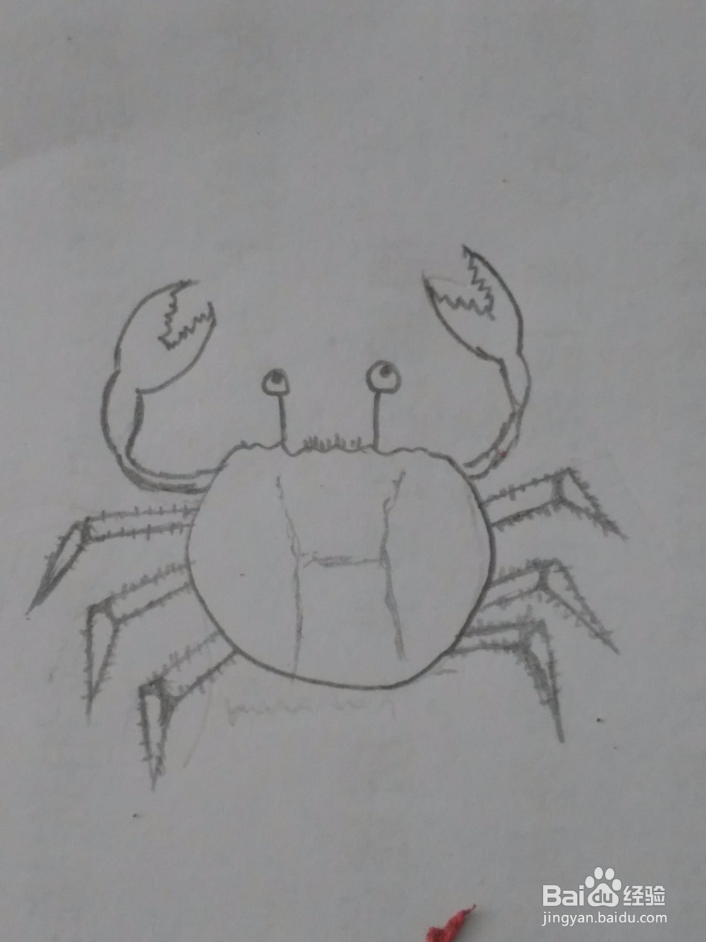 <b>螃蟹 黑白铅笔画 详细步骤教程</b>