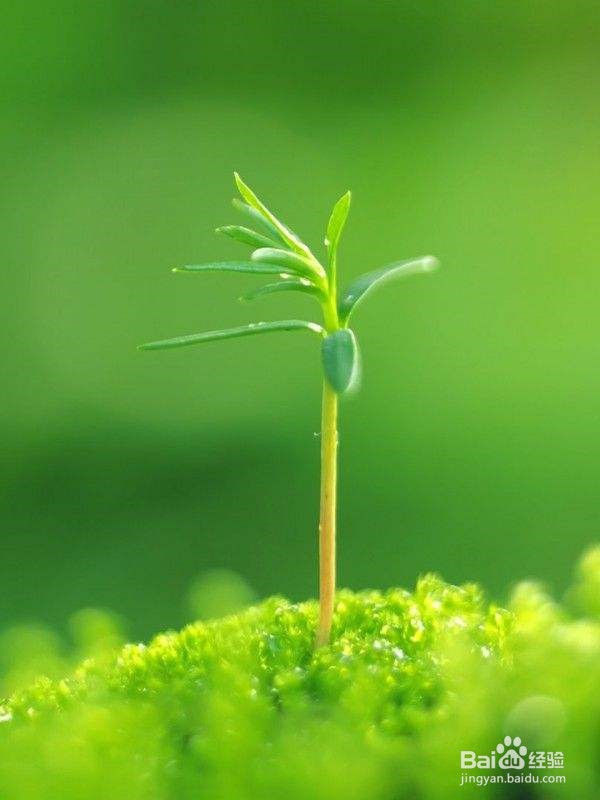 眼睛干涩，我们该怎么办？