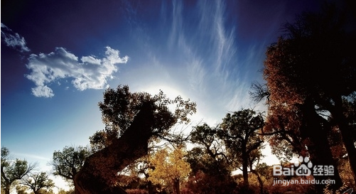 如何拍出美妙的风景照片