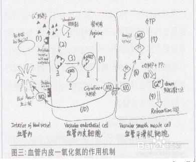 你不知道的这些神奇气体，它们就在每天呼吸的空气中