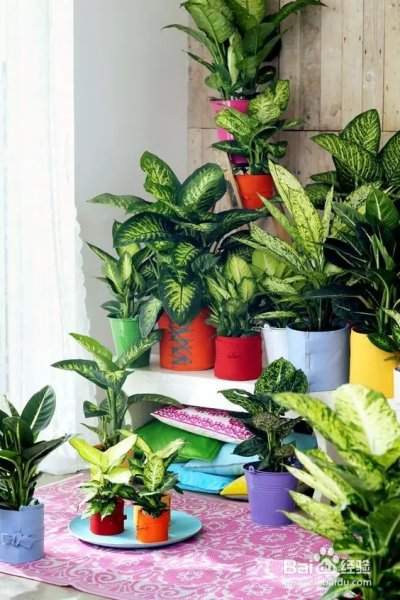 这些东西过期了千万别扔，不然让你超后悔！