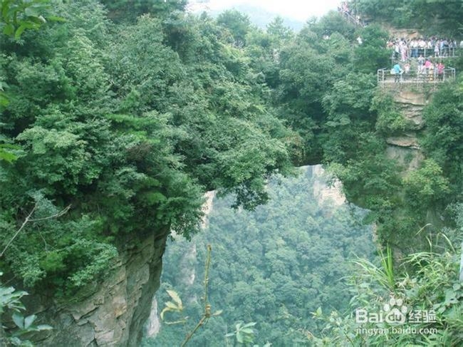 苏州到张家界自助游