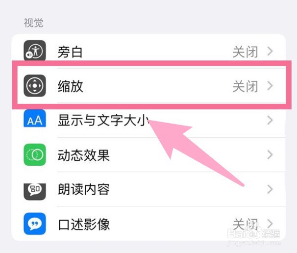 iPhone怎么设置缩放级别？