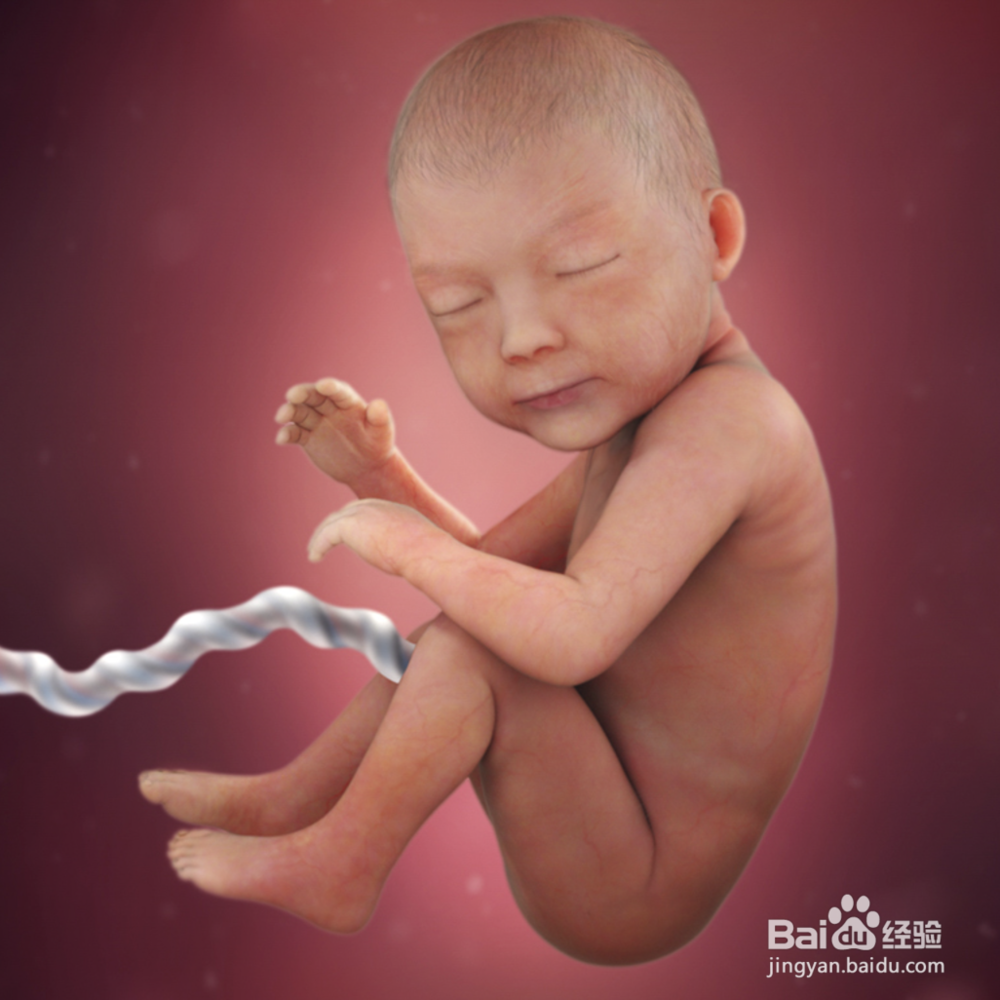 孕30周：胎儿和孕妈妈的最新变化，你知道吗