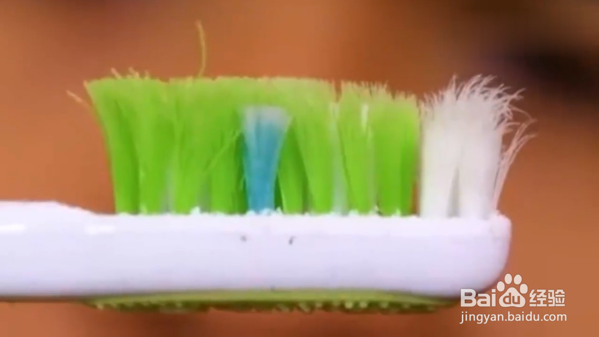 如何学会好用的废物利用小妙招？