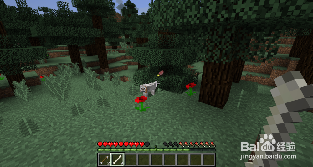 《我的世界生存手册》之我的动物朋友（狗）