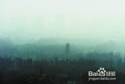 五一小长假,“负离子氧吧”景区是不错的选择