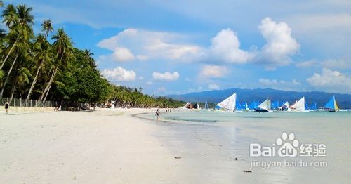 长滩岛浪漫豪华五日游