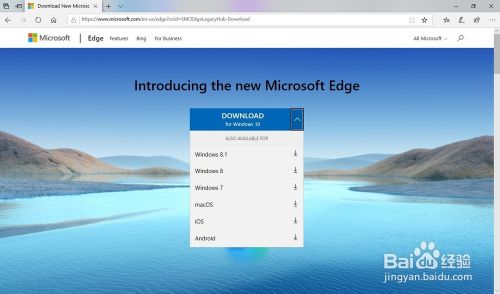 win10的edge浏览器如何更新？