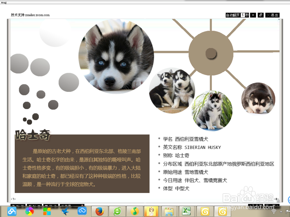 Zmaker如何制作电子杂志