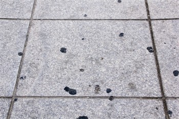 口香糖有何功效和危害?吃口香糖要注意什么?