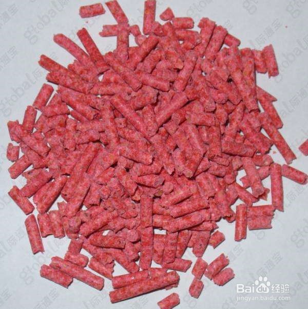 房间有老鼠怎么办