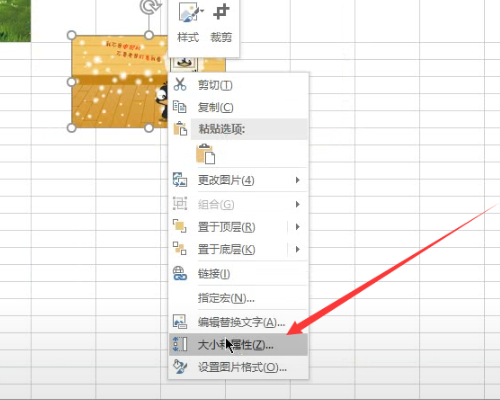 excel 插入图片的时候，如何让图片自动的根据插入的表格大小而自动改变大小填充表格。