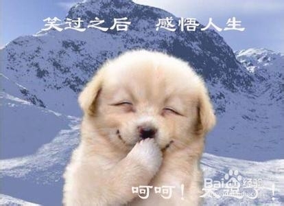 如何快速提高QQ空间的访问量