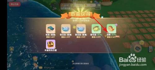 泥鳅在哪钓摩尔庄园