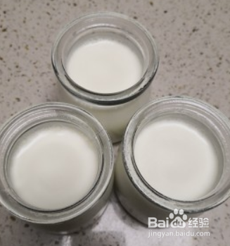 自制酸奶的做法