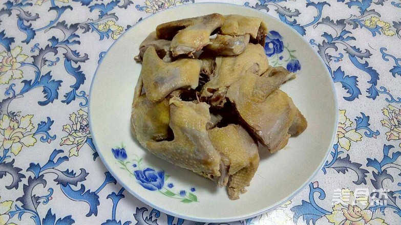 炖鸽子的家常做法