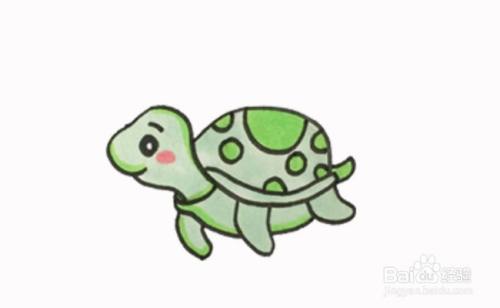 怎么画卡通小乌龟 百度经验