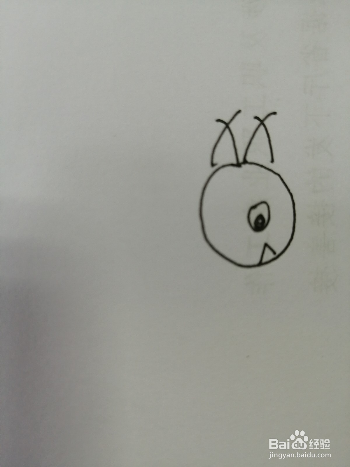简笔画小松鼠怎么画