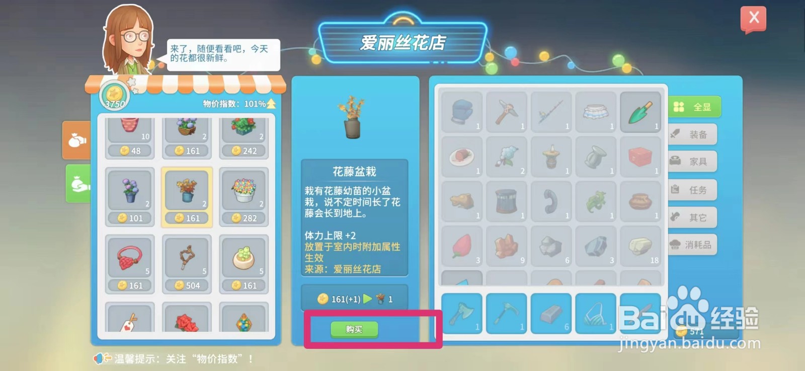 波西米亚时光怎么购买花藤盆栽