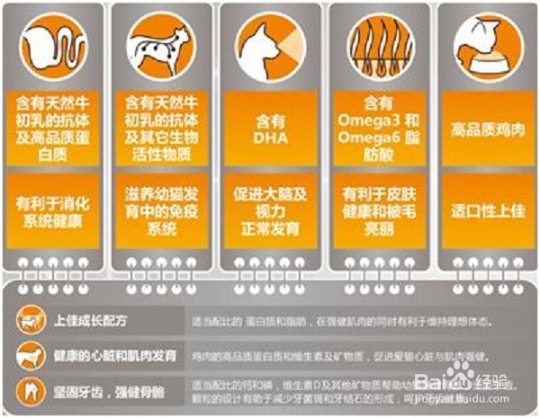 网上买猫粮要注意什么?