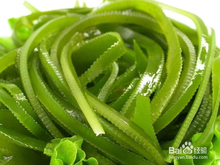 九种防辐射食物(电脑族必看)