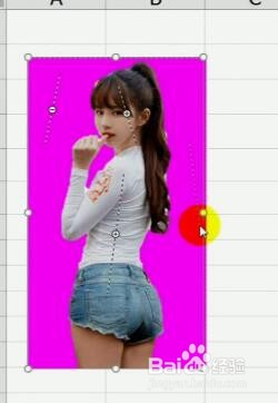 教你在excel表格中抠图的方法