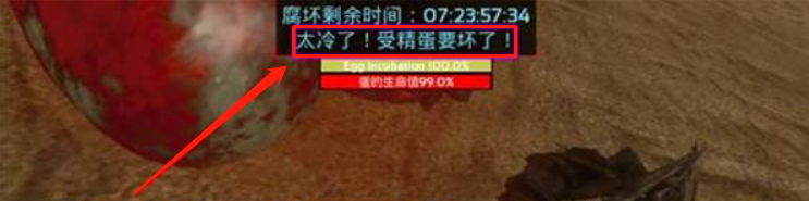 方舟龙蛋怎么孵化？