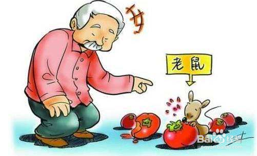 汉坦病毒传播途径有哪些 汉坦病毒主要传播途径