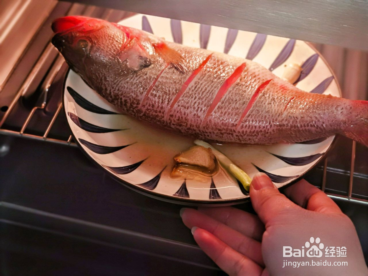 蒸烤箱版清蒸鲈鱼的做法